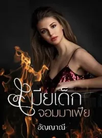 หน้าปกนวนิยาย เมียเด็กจอมมาเฟีย