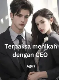 Sampul Novel Terpaksa menikah dengan CEO