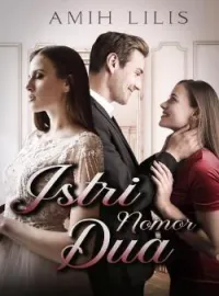 Sampul Novel Istri Nomor Dua