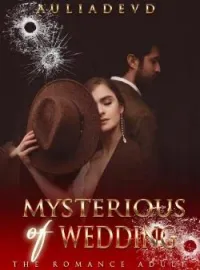 Sampul Novel Mysterious of Wedding