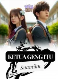 Sampul Novel Ketua Geng Itu Suamiku