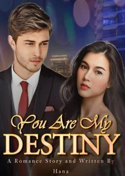 Sampul Novel You Are My Destiny