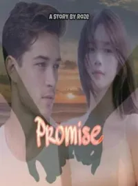 Sampul Novel Promise