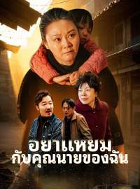 อย่าแหยมกับคุณนายของฉันซีรีส์สั้น