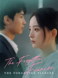 The Forgotten FiancéeMini Series