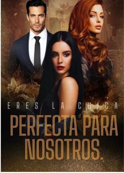 Portada de la novela Eres la chica perfecta para nosotros.