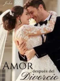 Portada de la novela Amor después del divorcio 