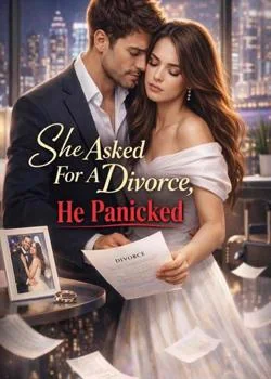 She Asked For A Divorce, He Panicked Novel Cover