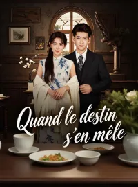 Quand le destin s'en mêleMini-séries