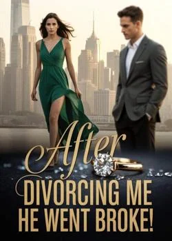After Divorcing Me, He Went Broke! Novel Cover