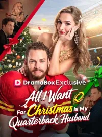 All I Want For Christmas Is My Quarterback HusbandMini Series