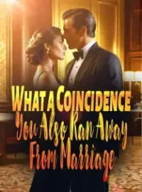 What a Coincidence, You Also Ran Away From Marriage! Novel Cover