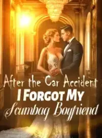 After the Car Accident, I Forgot My Scumbag Boyfriend Novel Cover