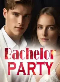 Bachelor party Novel Cover