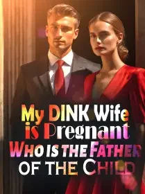 My DINK Wife is Pregnant: Who is the Father of the Child? Novel Cover