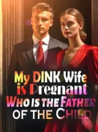 My DINK Wife is Pregnant: Who is the Father of the Child? Novel Cover