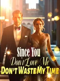 Since You Don’t Love Me, Don’t Waste My Time Novel Cover