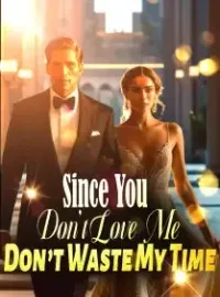 Since You Don’t Love Me, Don’t Waste My Time Novel Cover