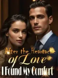 After the Heartache of Love, I Found My Comfort Novel Cover