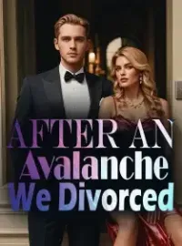 After an Avalanche, We Divorced Novel Cover