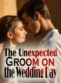The Unexpected Groom on the Wedding Day Novel Cover