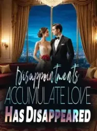 Disappointments Accumulate, Love Has Disappeared Novel Cover