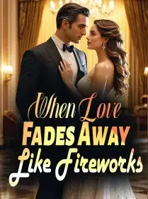 When Love Fades Away Like Fireworks Novel Cover