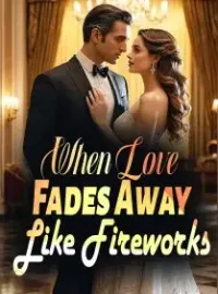 When Love Fades Away Like Fireworks Novel Cover