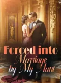 Forced into Marriage by My Aunt Novel Cover