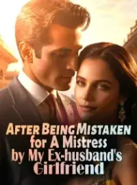 After Being Mistaken for A Mistress by My Ex-husband's Girlfriend Novel Cover