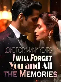 Love for Many Years: I will Forget You and All the Memories Novel Cover
