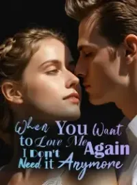When You Want to Love Me Again, I Don't Need it Anymore Novel Cover