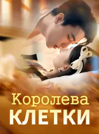 Королева КлеткиКороткие драмы