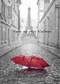 Couverture du roman Pour ne plus t'aimer 