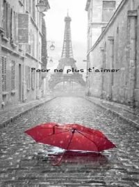 Couverture du roman Pour ne plus t'aimer 