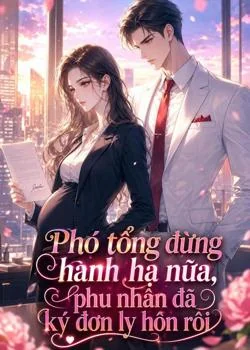 Bìa tiểu thuyết Phó tổng đừng hành hạ nữa, phu nhân đã ký đơn ly hôn rồi