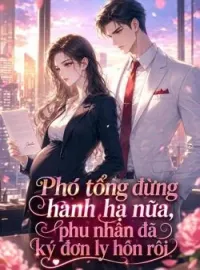 Bìa tiểu thuyết Phó tổng đừng hành hạ nữa, phu nhân đã ký đơn ly hôn rồi