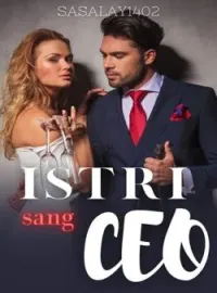 Sampul Novel Istri Sang CEO (After Married)