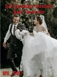 Sampul Novel Istri Gendutku Berubah Jadi Cinderella