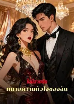 หน้าปกนวนิยาย ไม่มีสายติด: ทนายความหัวใจของฉัน