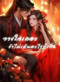 หน้าปกนวนิยาย วางใจเถอะ ข้าไม่เห็นอะไรทั้งสิ้น