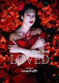 Sampul Novel Somebody That You Loved