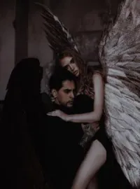 Capa do romance Como nascem os anjos