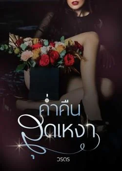 ภาพปกนิยายเรื่อง ค่ำคืนสุดเหงา