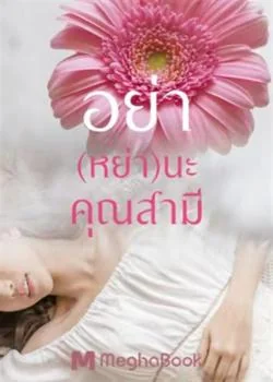 หน้าปกนวนิยาย อย่า(หย่า)นะคุณสามี