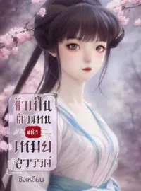 หน้าปกนวนิยาย ข้าเป็นตัวแทนแห่งเหมยสวรรค์