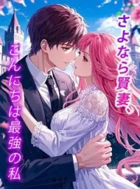 さよなら賢妻、こんにちは最強の私 の小説カバー