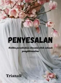 Sampul Novel PENYESALAN