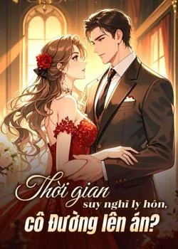 Bìa tiểu thuyết Thời gian suy nghĩ ly hôn, cô Đường lên án?