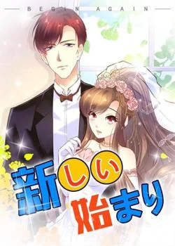 新しい始まり の小説カバー